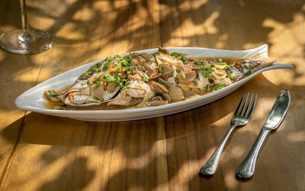 Finding the Best UK Women's Fashion Deals Online: Tips and Tricks